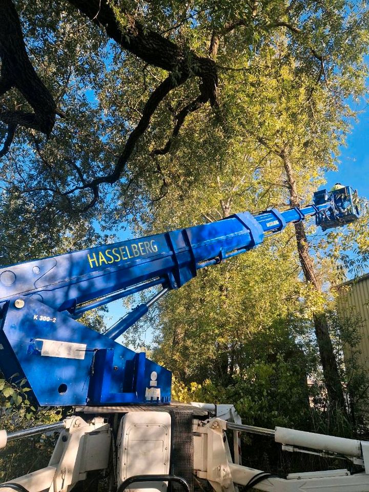 Hubsteiger Arbeiten,  Hebebühne, Arbeitsbühne Vermietung mieten in Beckum