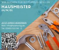 Hausmeister (m/w/d) für Bitterfeld- Wolfen gesucht Sachsen-Anhalt - Bitterfeld Vorschau