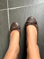 Tommy Hilfiger Ballerina Schuhe Größe 39 braun Nordrhein-Westfalen - Kerpen Vorschau