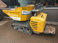 Messersi Minidumper Dumper Kettendumper TC100D - Preis inkl. Mwst Baden-Württemberg - Untermünkheim Vorschau