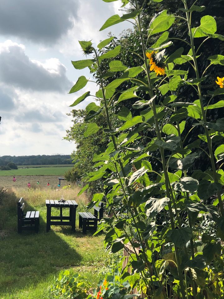 Nähe Schwerin: Wohnmobilstellplatz Übernachtungsplatz  Camping in Crivitz