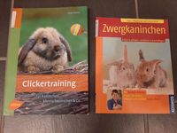 Kaninchen halten pflegen verstehen beschäftigen Clickertraining Herzogtum Lauenburg - Dassendorf Vorschau