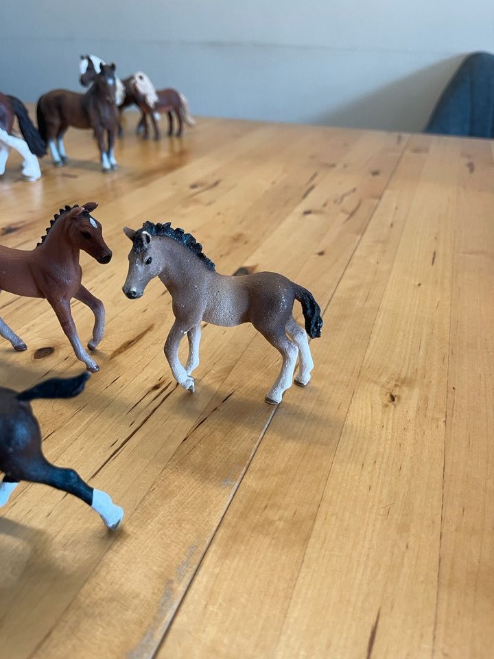 Schleich Fohlen Pferde in Düren