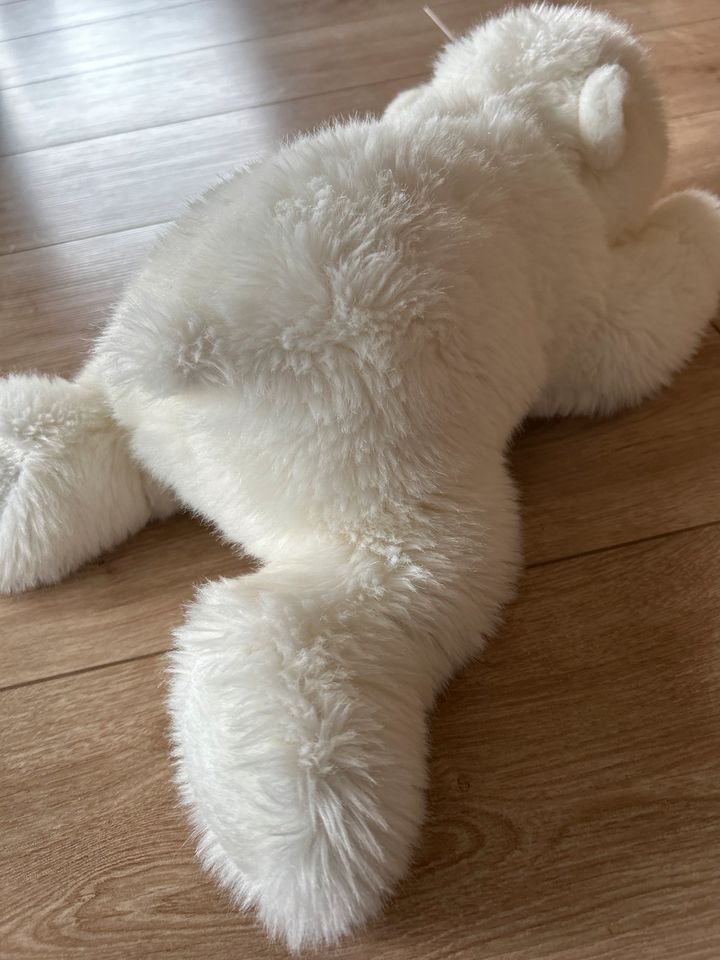 Steiff Eisbär Arco 45 cm liegend / NEU in Hemer