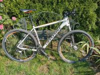 Cannondale Flash Lefty 29er XL Alloy Bayern - Würzburg Vorschau