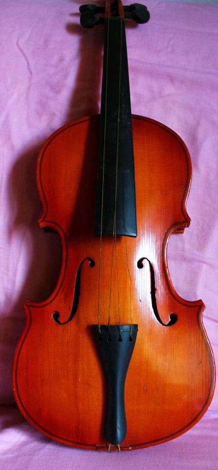 Geige Violine in Diepholz