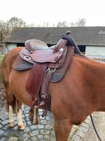 Sale- Deuber trail Rider  Maße in den Fotos!!! Rheinland-Pfalz - Neustadt (Wied) Vorschau