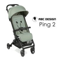 ABC-Design Ping 2 - Pine - Buggy mit flacher Liegeposition, Tragetasche und Tragegurt (bis 27 kg belastbar) - NEU Hessen - Fulda Vorschau