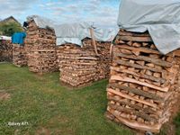 Brennholz Buche/ Esche ofenfertig Baden-Württemberg - Tettnang Vorschau