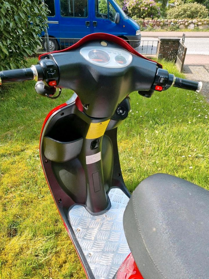 Elektro Roller Moped EcoFlash 2000 Eco Flash 2000 in Tostedt