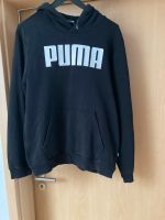 PUMA Hoodie Kapuzenpullover mit Bauchtasche Größe M Rheinland-Pfalz - Hattert Vorschau