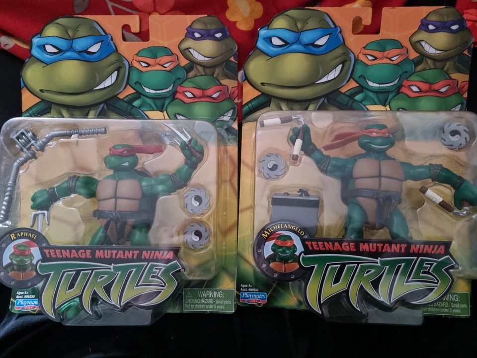 SUCHE Teenage Mutant Ninja Turtles Leonardo in Oststeinbek