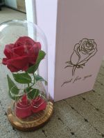 Infininty Rose  neu mit Beleuchtung Rostock - Toitenwinkel Vorschau