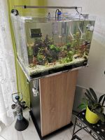 Dennerle Scaper Aquarium Weißglas 70l Thüringen - Erfurt Vorschau