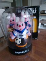 Duracell Hasen Hessen - Biedenkopf Vorschau