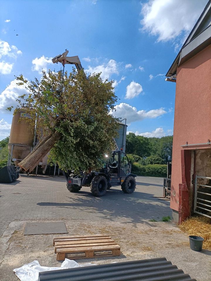 Teleskoplader Manitou Bobcat Stapler Radlader ...Mieten... in Hohn