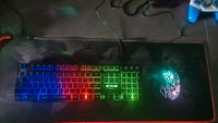 Gaming Tastatur und Maus Set mit LED Rheinland-Pfalz - Trassem Vorschau