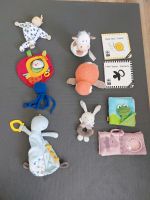 Verschiedene Babyspielsachen Baden-Württemberg - Ellenberg Vorschau