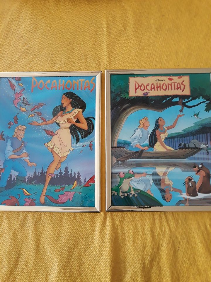 "Pocahontas" in Bilderrahmen und Buch in Hamburg