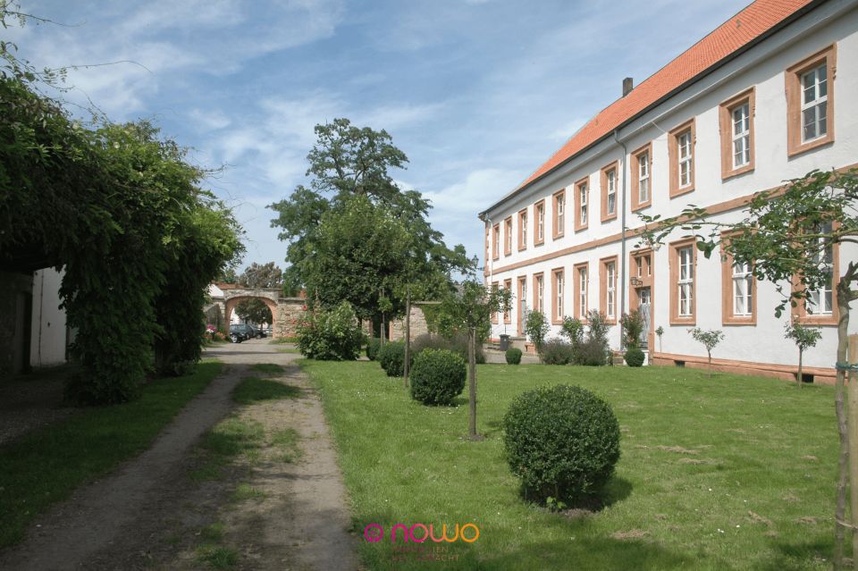 Baugrundstück mit 701 m² in Dorstadt - Für Ihr neues Einfamilien- oder Doppelhaus in Dorstadt