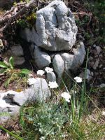 Garten Kleingarten zur Pacht in Grünhain Sachsen - Grünhain-Beierfeld  Vorschau