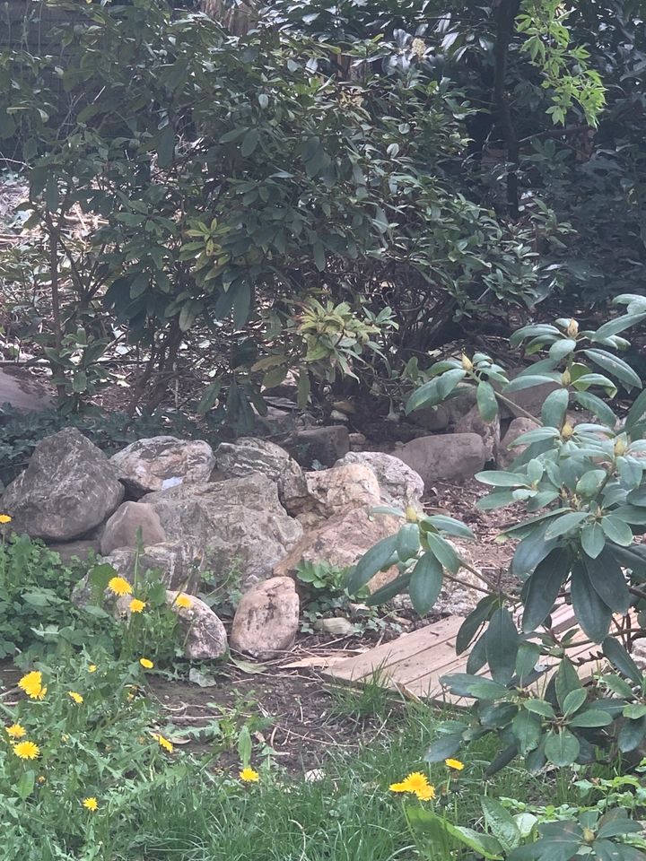 Natursteine für Garten und Teich in Neuwied