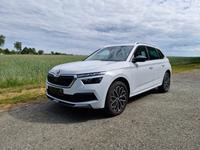 Skoda Kamiq 1.5 TSI ACT Ambition Niedersachsen - Langwedel Vorschau
