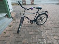 Damenfahrrad in lila 26zoll Bayern - Bad Reichenhall Vorschau