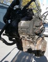 Motor Mercedes W169 W245 160 CDI Diesel Nordrhein-Westfalen - Geseke Vorschau