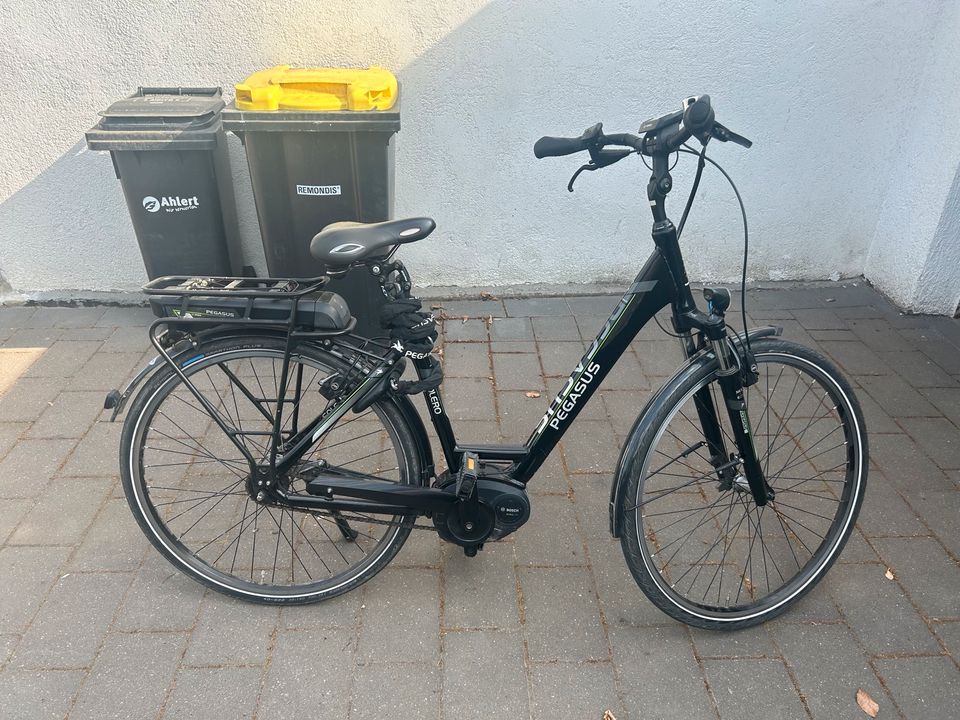 E-Bike Pegasus Damen in Steinfurt