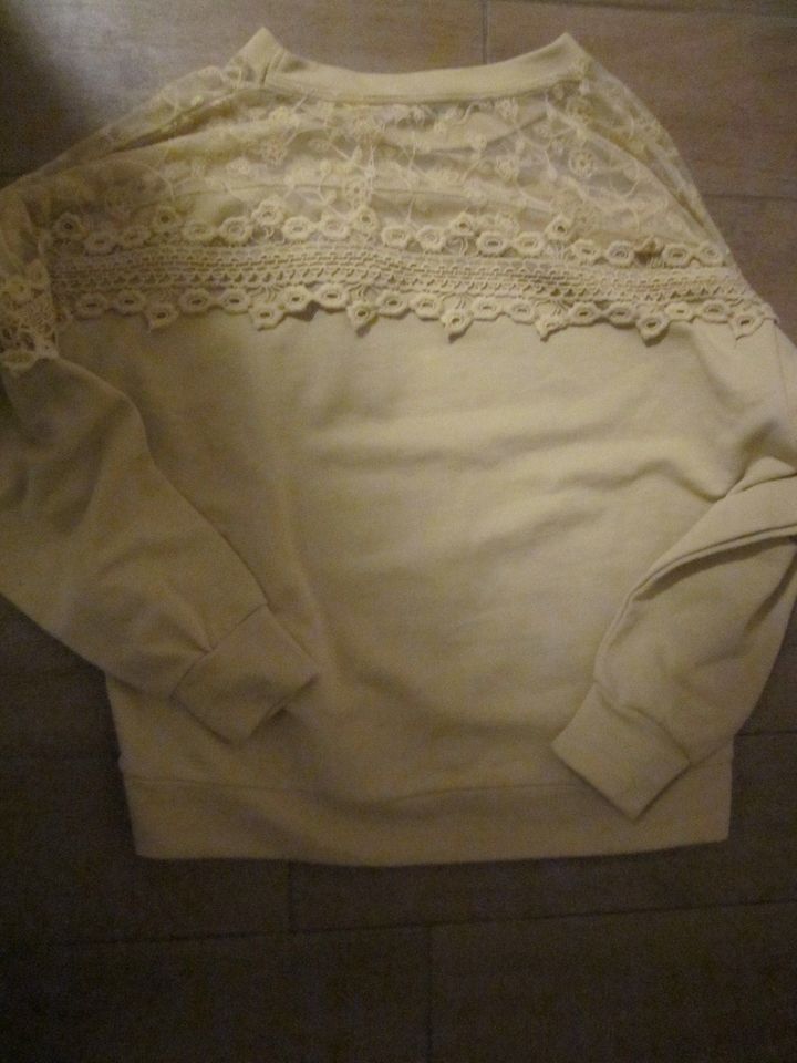 Cream Sweatshirt in Senfgelb, Größe XXL (44) in Kamp-Lintfort