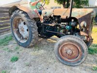 Famulus Traktor IFA Fortschritt Traktor Schlepper Sachsen - Delitzsch Vorschau