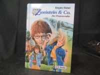 Brigitte Blobel: Zweistein & Co. Der Piratensender - Kinderbuch Dithmarschen - Tellingstedt Vorschau