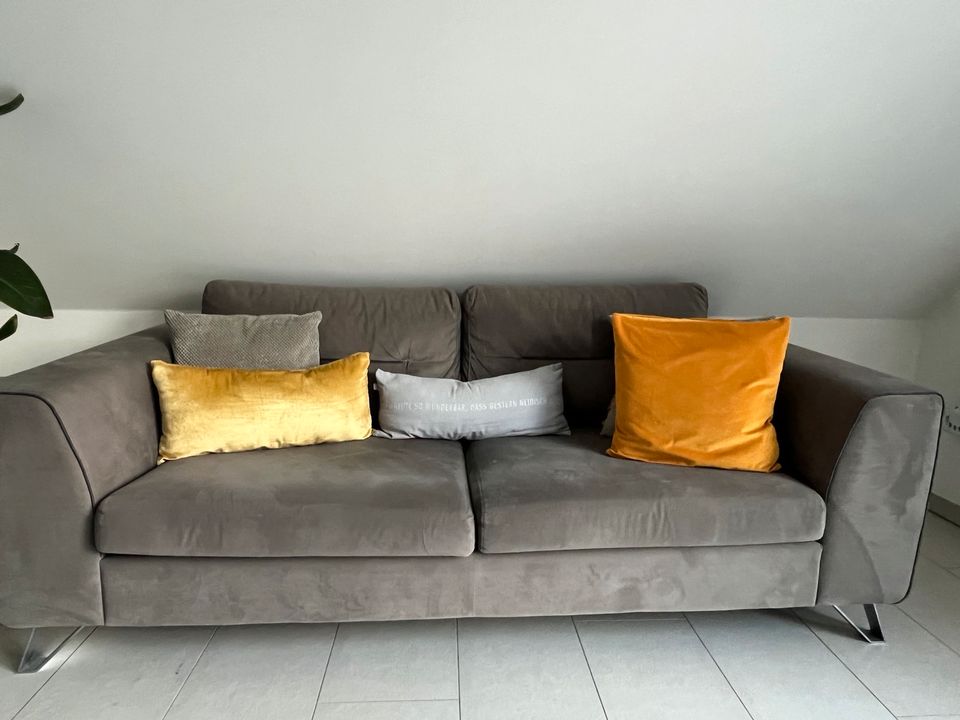 Samt Couch in Ahaus