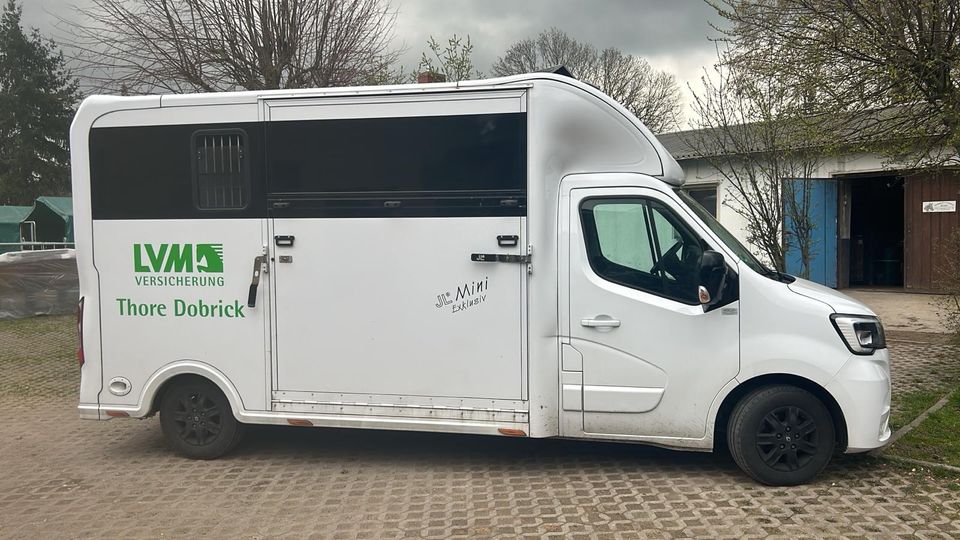 Pferdetransporter Renault Master aus 2021 in Landolfshausen