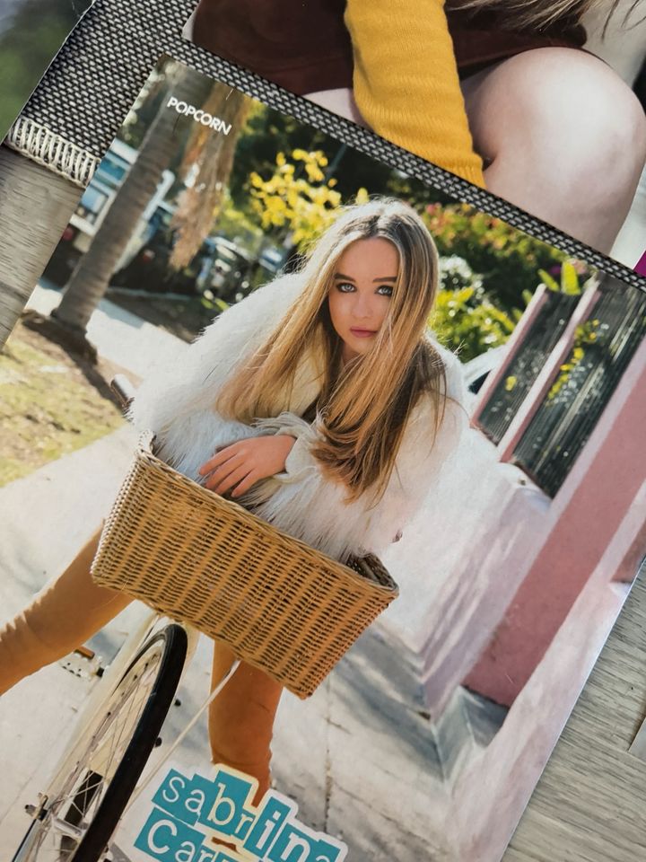 Sabrina Carpenter Poster / Girl meets world Poster in Gerabronn