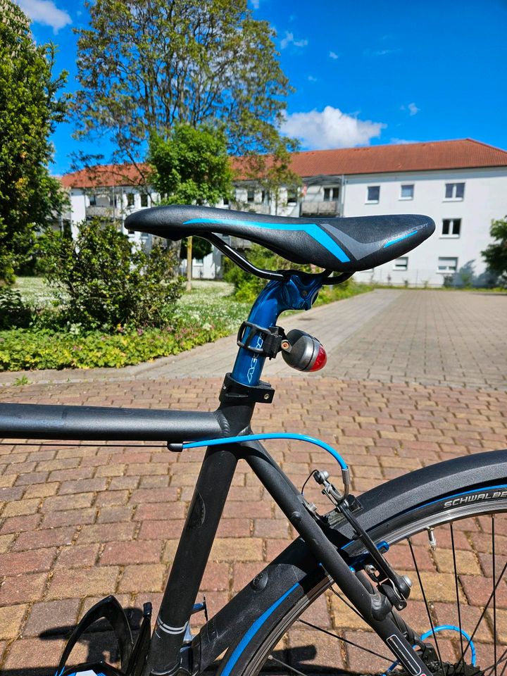 Fahrrad FOCUS Arriba 28 Zoll in Magdeburg