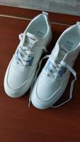 Damen Schuhe Gr 42 Berlin - Spandau Vorschau