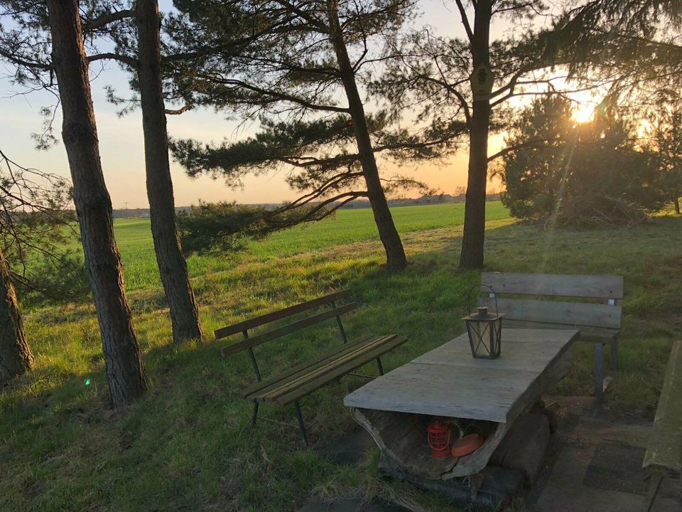 Ferienwohnung Waldklause, Geierswalder See, Lausitzer Seenland in Elsterheide