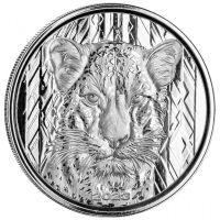 Silbermünze Ghana 1 oz African Leopard 2023 Niedersachsen - Fürstenau Vorschau