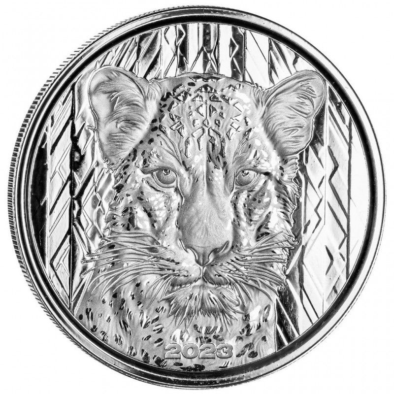 Silbermünze Ghana 1 oz African Leopard 2023 in Fürstenau