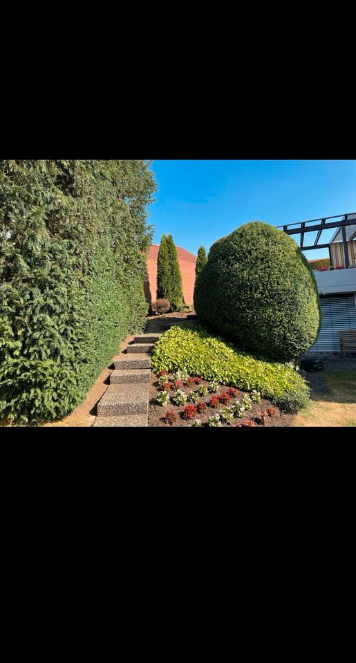 Gartenarbeit aller Art, Heckenschneiden, Gartenpflege, Gärtner in Aachen