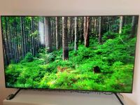 4K 65 Zoll SmartTV Fernseher von Samsung GU65TU7199UXZG Nordrhein-Westfalen - Iserlohn Vorschau