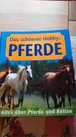 Das schönste Hobby Pferde Schleswig-Holstein - Koberg Vorschau
