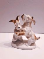 W & A Gräfenthal Porzellan Figur Hund "Terier Schnauzer" Glanz Nürnberg (Mittelfr) - Nordstadt Vorschau
