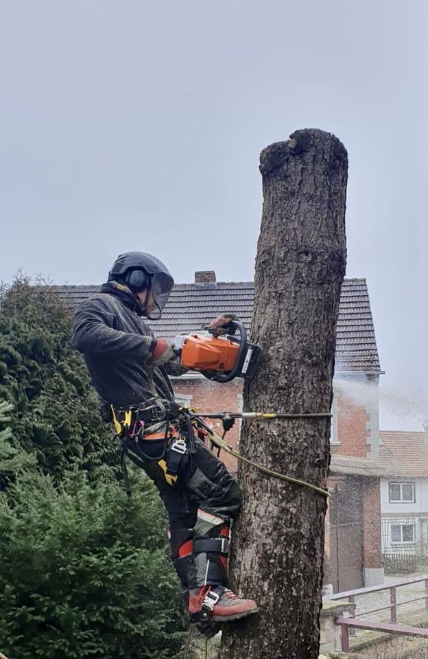 Baumfällung, Baumpflege, Gartenarbeiten, Bagger u. Abrissarbeiten in Naumburg (Saale)