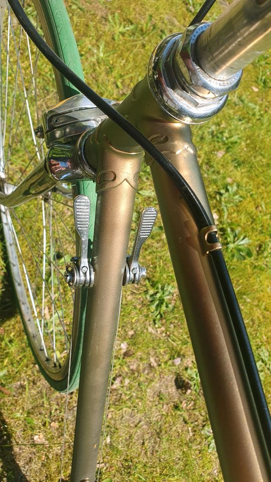 Italienisches Rennrad 28" Vintage gold/ grün 53RH in Hamburg