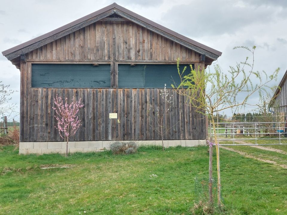 Österreich, Waldviertler Streckhof, Nebengebäuden, Pferdehaltung in Wahrenberg