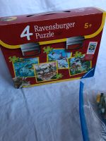 Puzzlekoffer Dinosaurier Brandenburg - Rhinow Vorschau