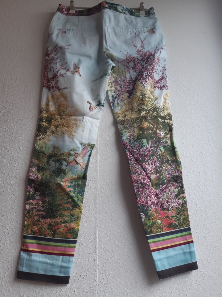 ZARA Fotodruck Anzug Hose BUNT Natur Blüten Vögel Spatzen BW 40 in Kastorf